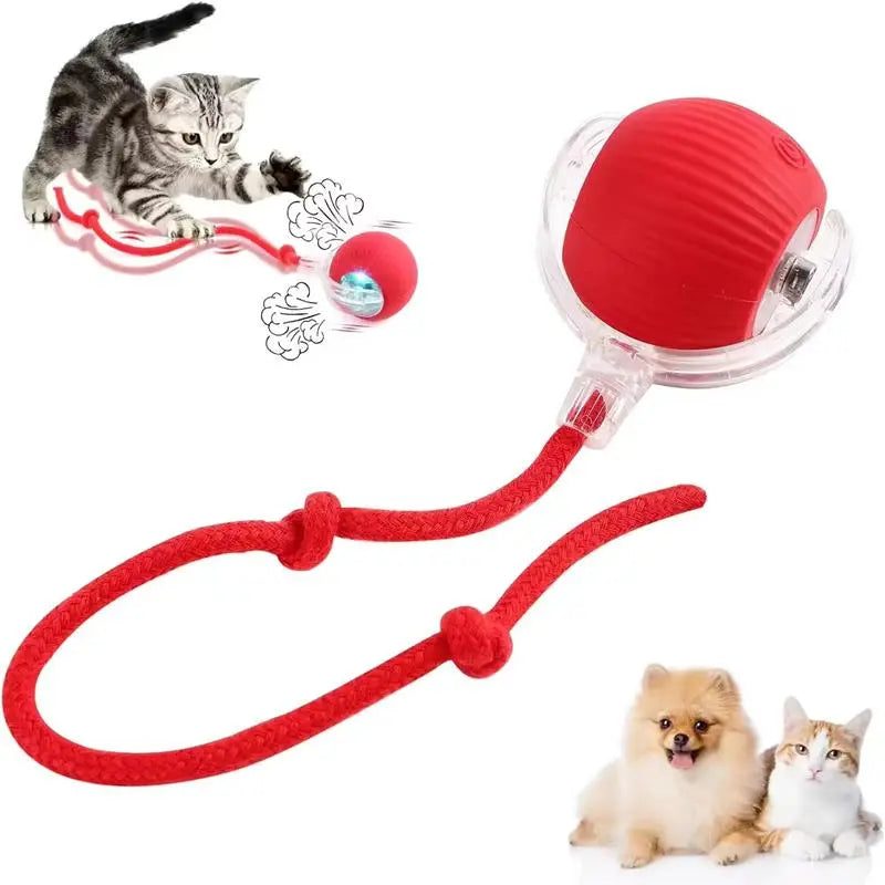 Electric Rolling Cat Ball Toy with Rope, Interactive Cat Teaser Toy, Automatic Ball Toy Pet Supply for Dogs & Cats, Interactive Kitten Wand, Kitty