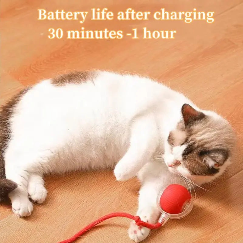Electric Rolling Cat Ball Toy with Rope, Interactive Cat Teaser Toy, Automatic Ball Toy Pet Supply for Dogs & Cats, Interactive Kitten Wand, Kitty