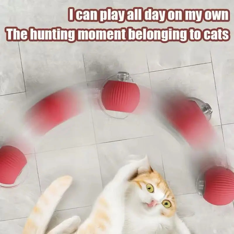 Electric Rolling Cat Ball Toy with Rope, Interactive Cat Teaser Toy, Automatic Ball Toy Pet Supply for Dogs & Cats, Interactive Kitten Wand, Kitty