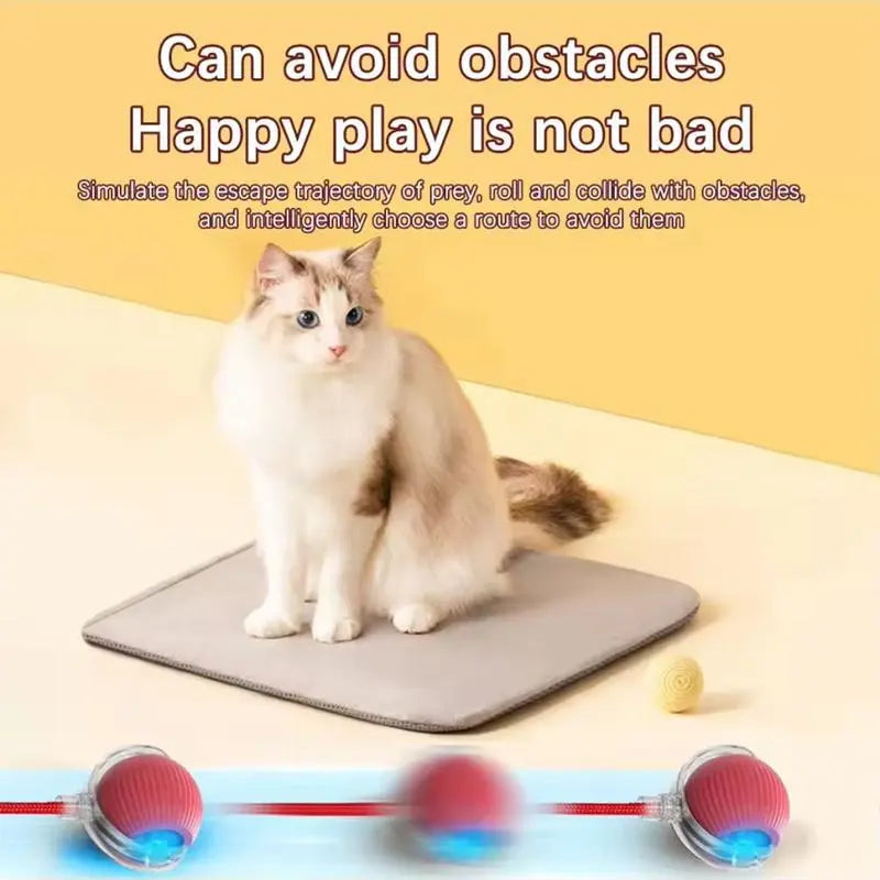 Electric Rolling Cat Ball Toy with Rope, Interactive Cat Teaser Toy, Automatic Ball Toy Pet Supply for Dogs & Cats, Interactive Kitten Wand, Kitty