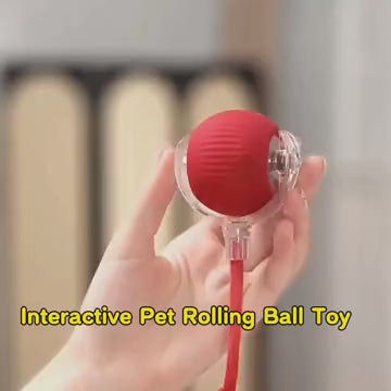 Electric Rolling Cat Ball Toy with Rope, Interactive Cat Teaser Toy, Automatic Ball Toy Pet Supply for Dogs & Cats, Interactive Kitten Wand, Kitty